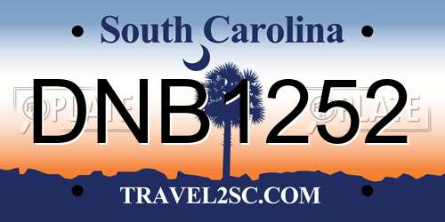 DNB1252 South Carolina License Plate