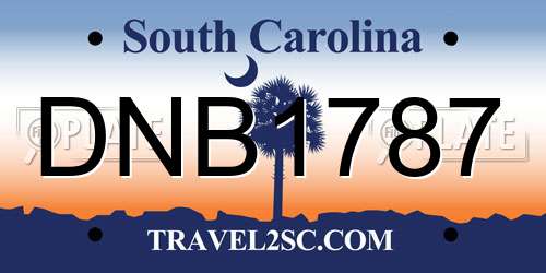 DNB1787 South Carolina License Plate