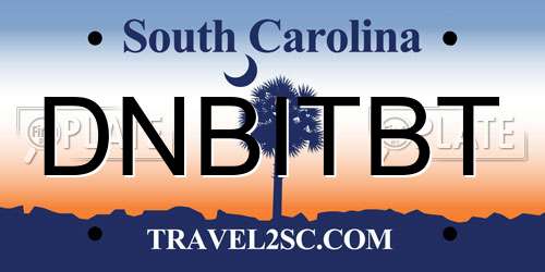 DNBITBT South Carolina License Plate
