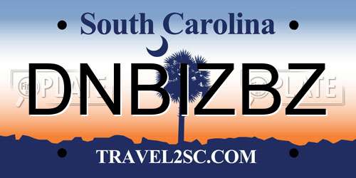 DNBIZBZ South Carolina License Plate