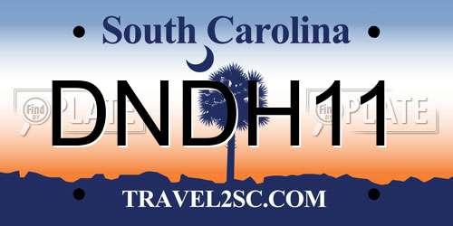 DNDH11 South Carolina License Plate