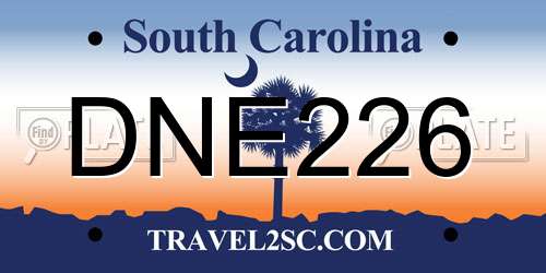 DNE226 South Carolina License Plate