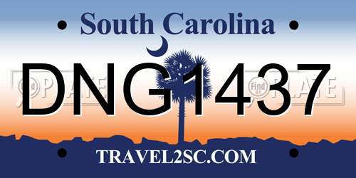 DNG1437 South Carolina License Plate
