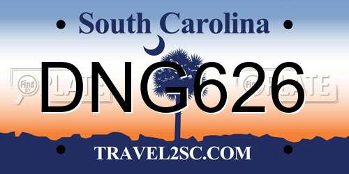 DNG626 South Carolina License Plate