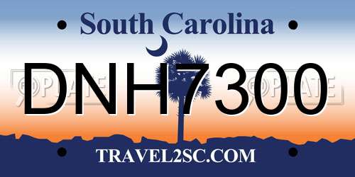 DNH7300 South Carolina License Plate