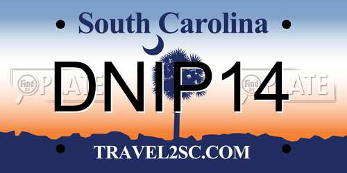 DNIP14 South Carolina License Plate