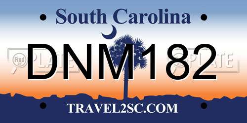 DNM182 South Carolina License Plate