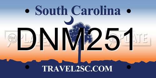 DNM251 South Carolina License Plate