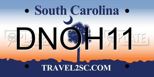 DNOH11 South Carolina License Plate