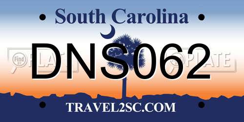 DNS062 South Carolina License Plate