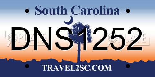 DNS1252 South Carolina License Plate