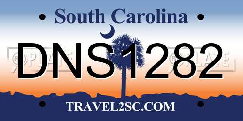 DNS1282 South Carolina License Plate