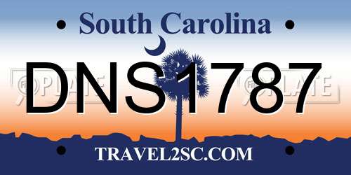 DNS1787 South Carolina License Plate