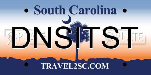 DNSITST South Carolina License Plate