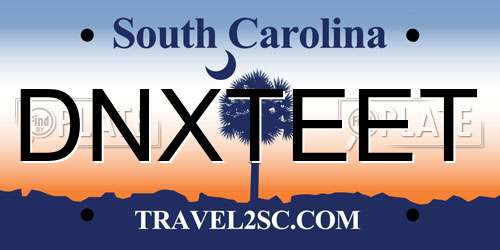 DNXTEET South Carolina License Plate