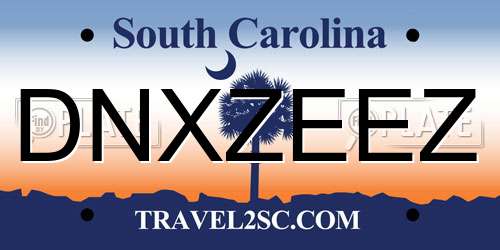 DNXZEEZ South Carolina License Plate
