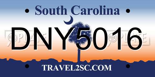 DNY5016 South Carolina License Plate