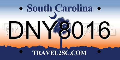 DNY8016 South Carolina License Plate