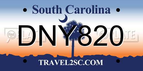 DNY820 South Carolina License Plate