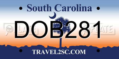 DOB281 South Carolina License Plate