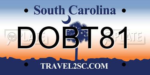 DOBT81 South Carolina License Plate