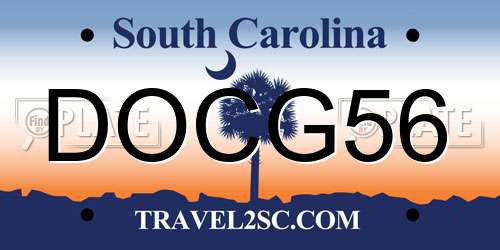 DOCG56 South Carolina License Plate