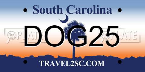 DOG25 South Carolina License Plate