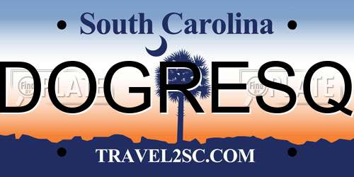 DOGRESQ South Carolina License Plate