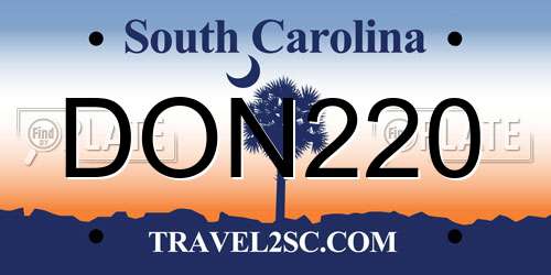 DON220 South Carolina License Plate