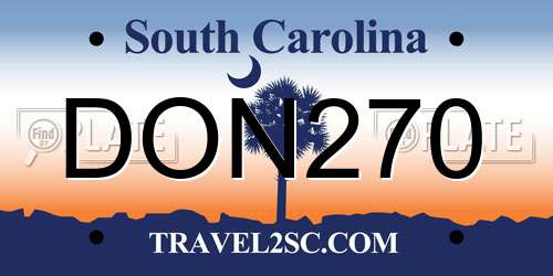 DON270 South Carolina License Plate