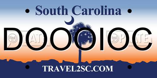 DOOOIOC South Carolina License Plate