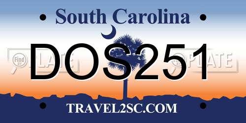 DOS251 South Carolina License Plate