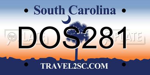DOS281 South Carolina License Plate