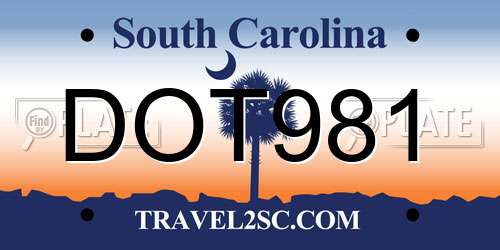DOT981 South Carolina License Plate