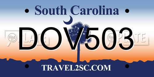 DOV503 South Carolina License Plate