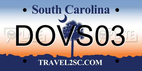 DOVS03 South Carolina License Plate
