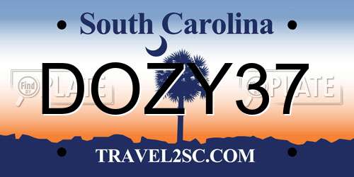 DOZY37 South Carolina License Plate