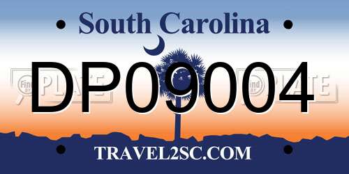 DP09004 South Carolina License Plate
