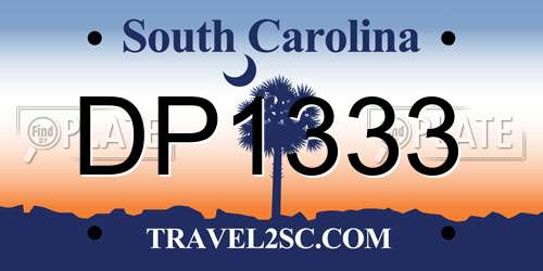 DP1333 South Carolina License Plate