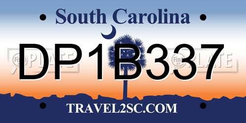 DP1B337 South Carolina License Plate