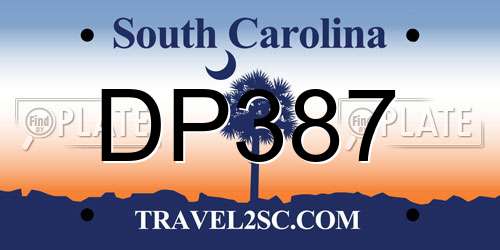 DP387 South Carolina License Plate