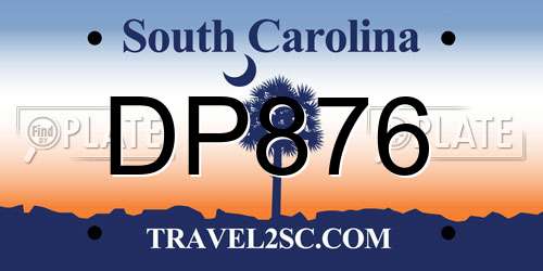 DP876 South Carolina License Plate