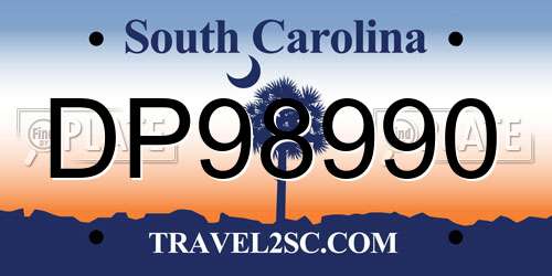 DP98990 South Carolina License Plate