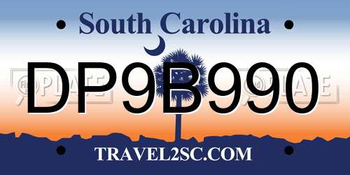 DP9B990 South Carolina License Plate