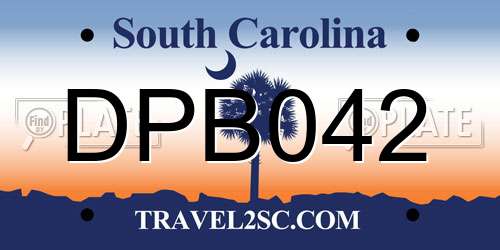 DPB042 South Carolina License Plate