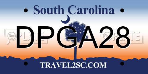 DPGA28 South Carolina License Plate