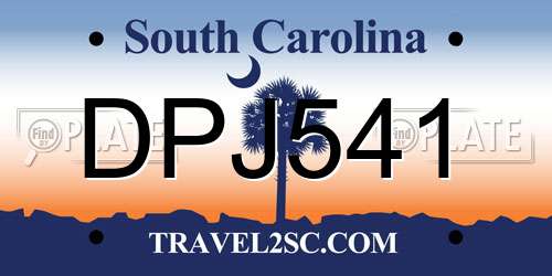 DPJ541 South Carolina License Plate
