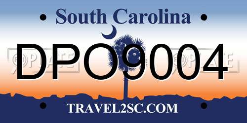 DPO9004 South Carolina License Plate