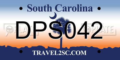DPS042 South Carolina License Plate