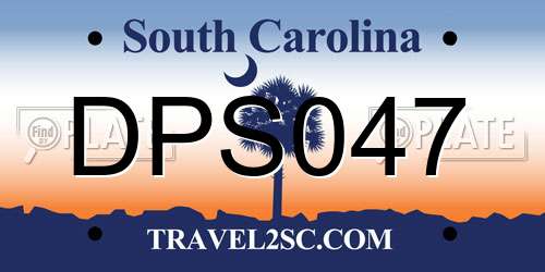 DPS047 South Carolina License Plate